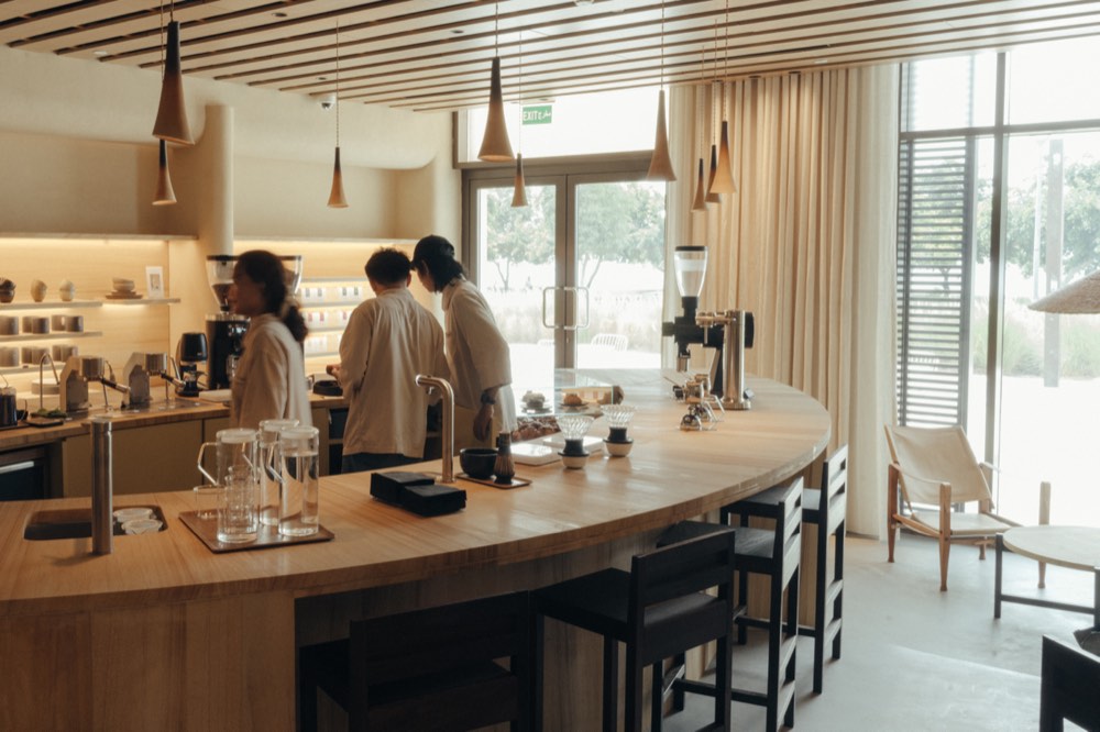 Main café floor, garden light and hand-thrown pendants